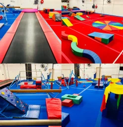 The Gymnastics Revolution Summer Hill 1