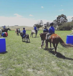 A game of horse ball