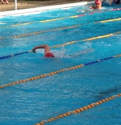 Capalaba Amateur Swimming Club Capalaba 1