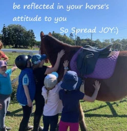 Reins Riding Academy Alberton 1