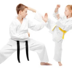 Karate Academy of Japan Gojuryu Rosemeadow 1