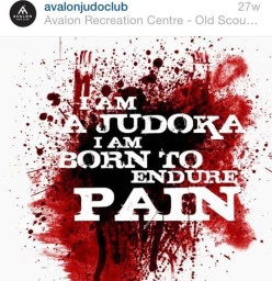 Avalon Judo Club Mona Vale 1