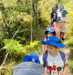 EcoWalks Tours Mosman 1