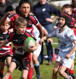 Kiwi Hawthorn Junior Rugby Club Camberwell 1