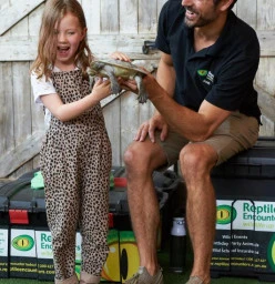 Pancake the Murray River Turtle