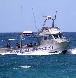Kiama Charter Service Kiama 1