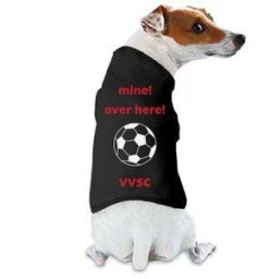 Valley View Storm Soccer Club Valley View 1