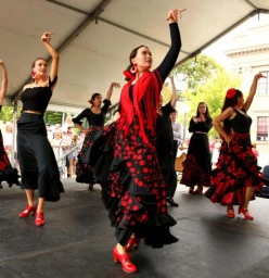 Pako Festa Geelong West 1
