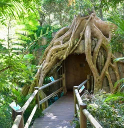 The Glow Worm cave entrance