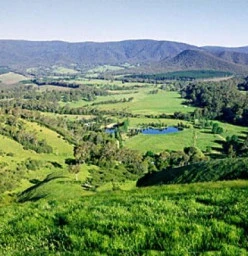 Overview