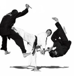 Master Kevin Brown 7th Degree