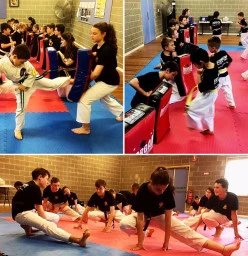Arrow Martial Arts Marsfield 1