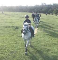 Tamaqi Park Equestrian Singleton 1