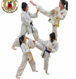 FREE introduction to Self-defence/Karate training Wakeley Karate Classes &amp; Lessons