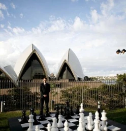 Yardparty.com.au