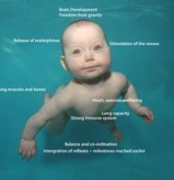 Caba Waterbabies ~ Prenatal, Mums & Bubs Yoga ~ Baby Massage Instruction ~ Underwater Photography Cabarita Beach 1