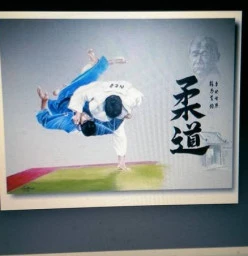 SAMURAI JUDO CLUB Bethania 1