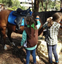 Banjo having a pony pamper!