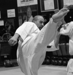 ADULTS KYOKUSHIN Monday to Thursday 7pm - 8:30pm