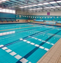 The Best Swimming Classes Lessons For Kids In Hurstville 2220 Activeactivities