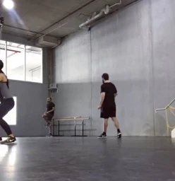 Functional circuit classes