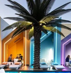 Matisse Beach Club Scarborough 1