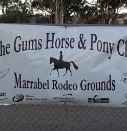 Gums Banner