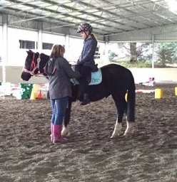 Broadway Park Equestrian Centre Gruyere 1