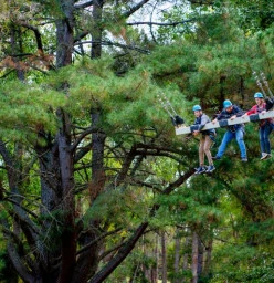 3-Person Mega Swing