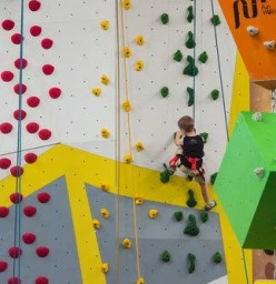 Kids Activity - Indoor Rock Climbing For Kids in ClimbFit Kirrawee