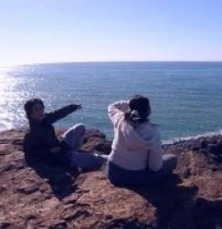Seeing dolphins at Fingal