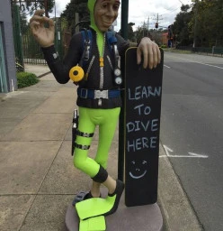 Look for the friendly diver at 117 Highbury Road Burwood