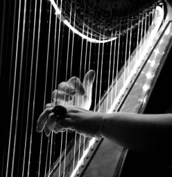 North Ryde HARP and PIANO Academy! North Ryde 1