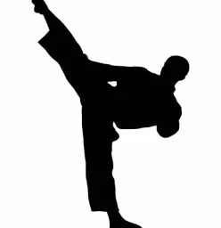 Halls Tae Kwon Do Club