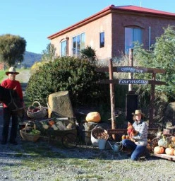Cherry Top Accommodation Lilydale 1