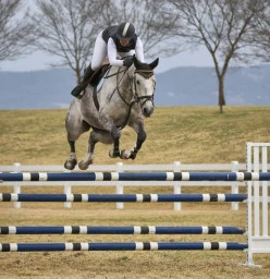 Tic Toc Equestrian Freemans Reach 1