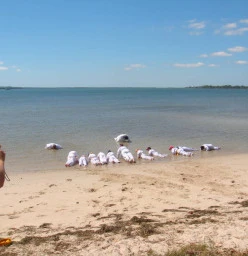 Karate Academy Capalaba Capalaba 1