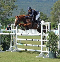 Showjumping