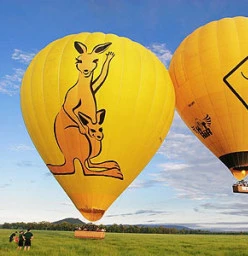 Koala Balloon on a beautiful sunny day