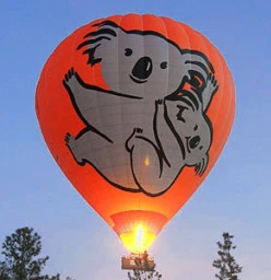 Koala Hot Air Balloon