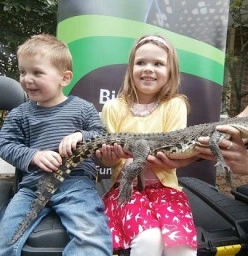 Reptile Encounters Burwood 1
