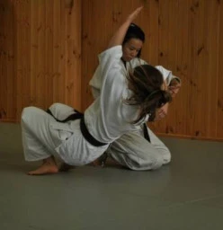 Yoshinkan Aikido