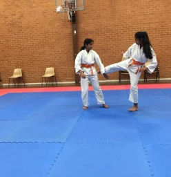 Wentworthville Aikido South Wentworthville 1