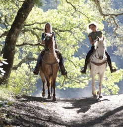 TRAIL RIDES, PRIVATE RIDES PICNIC RIDES BREAKFAST RIDE