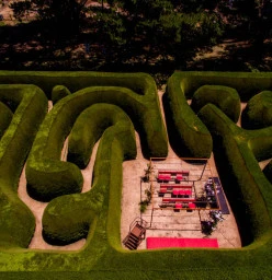 Aerial view of centre of maze