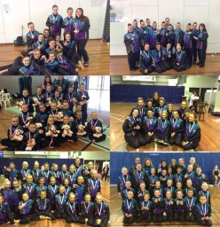 2015 competitive teams