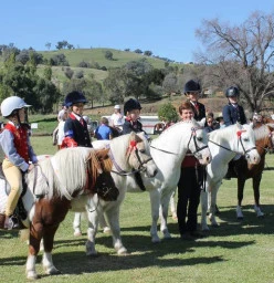 Kurrajong Park Equestrian Centre Wangaratta 1