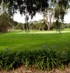 9th Green