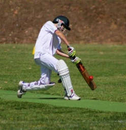 bat & ball