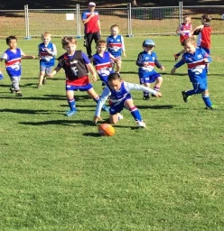 Westbrook Junior Australian Football Club Cherrybrook 1